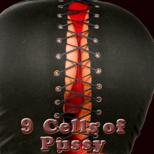 9 Cells of Pussy - adult mobile game 